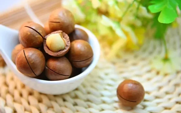 8 Health Benefits of Macadamia Nuts